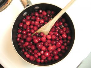 cranberries and the microbiome